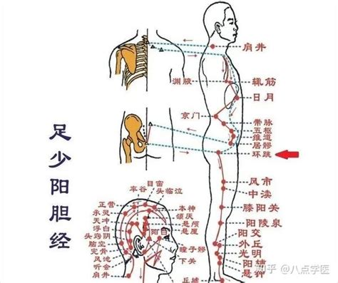 還跳穴|環跳穴位置在哪？一篇文搞懂環跳穴功效、痠痛原因與。